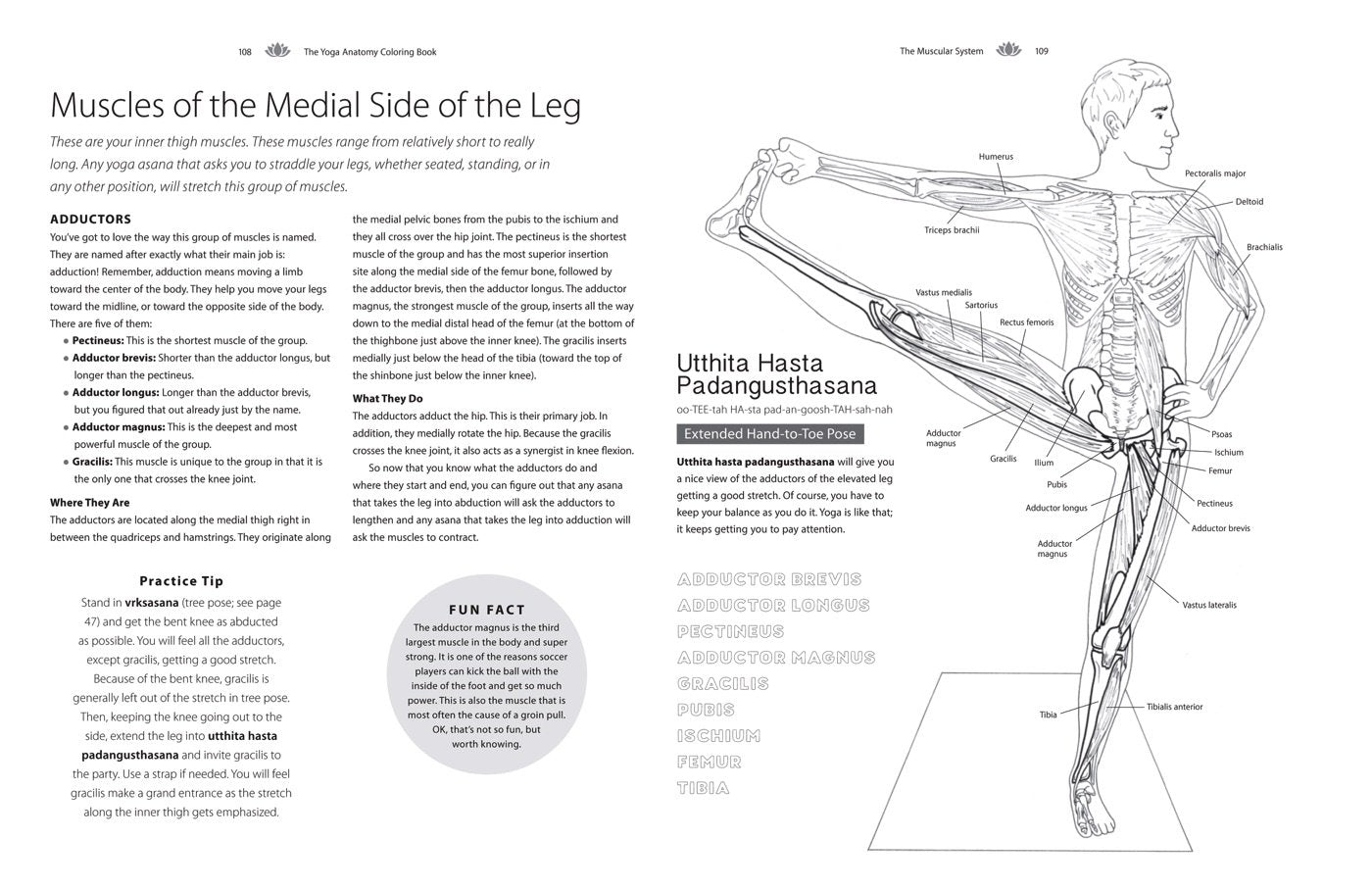 Yoga Anatomy Coloring Book: A Visual Guide to Form, Function, and Movement - An Educational Anatomy Coloring Book for Medical Students, Yoga Enthusiasts, Teachers & Adults (Volume 1)